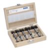 BOSCH 5-dijelni set Expert karbidnih svrdla za drvo