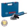 BOSCH kutna brusilica GWS 12-125 + kovčeg