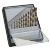 BOSCH 13-dijelni set Robust Line svrdla za metal HSS-Co