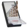 BOSCH 6-dijelni set Robust Line svrdla za metal HSS-Co