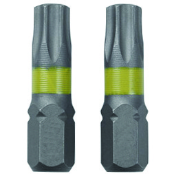 Wurth BIT TORX TX40 2kom